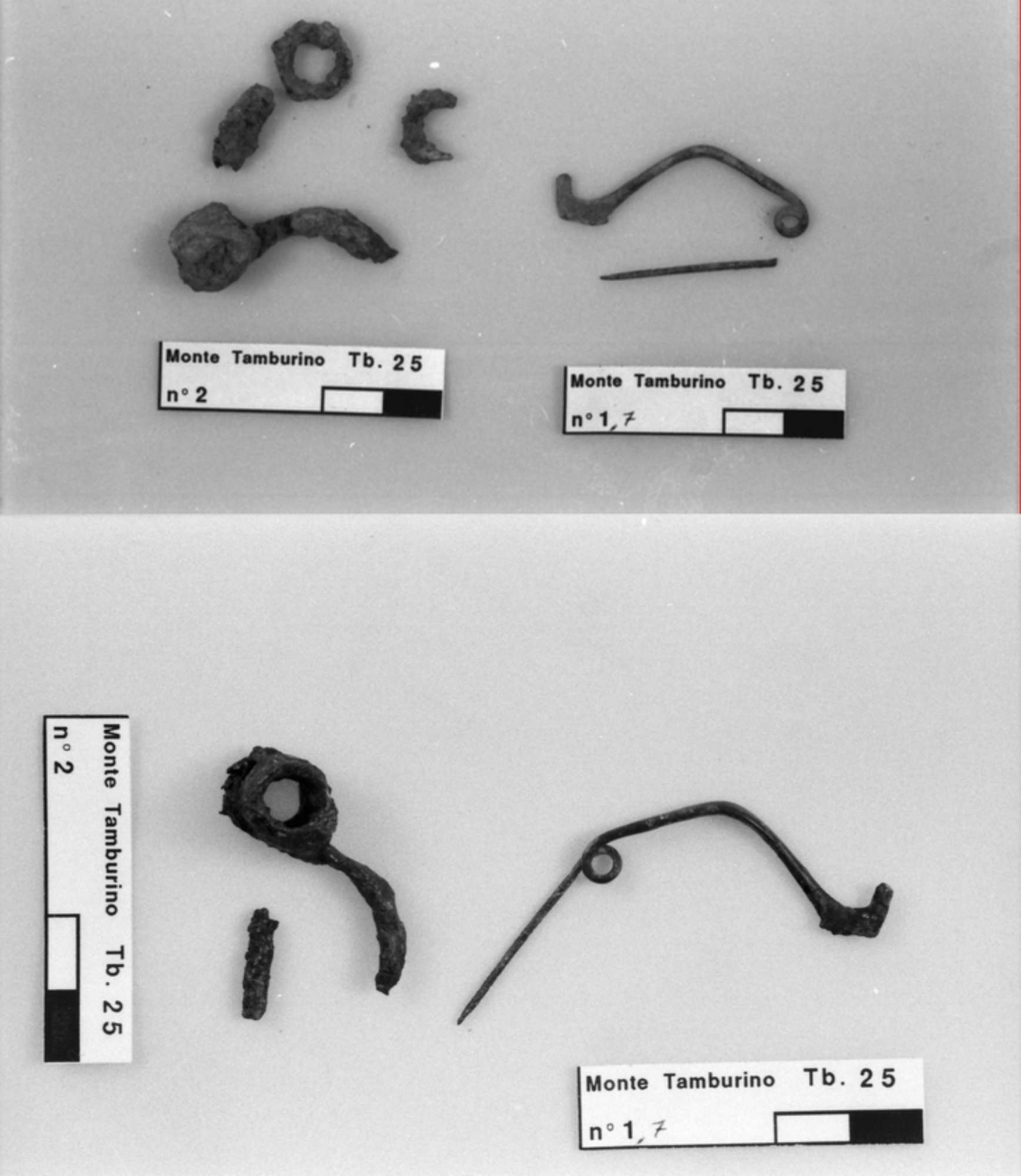 fibula in bronzo con ago e fibula di ferro a molla bilaterale